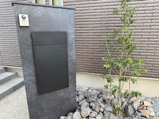 常緑樹のソヨゴ