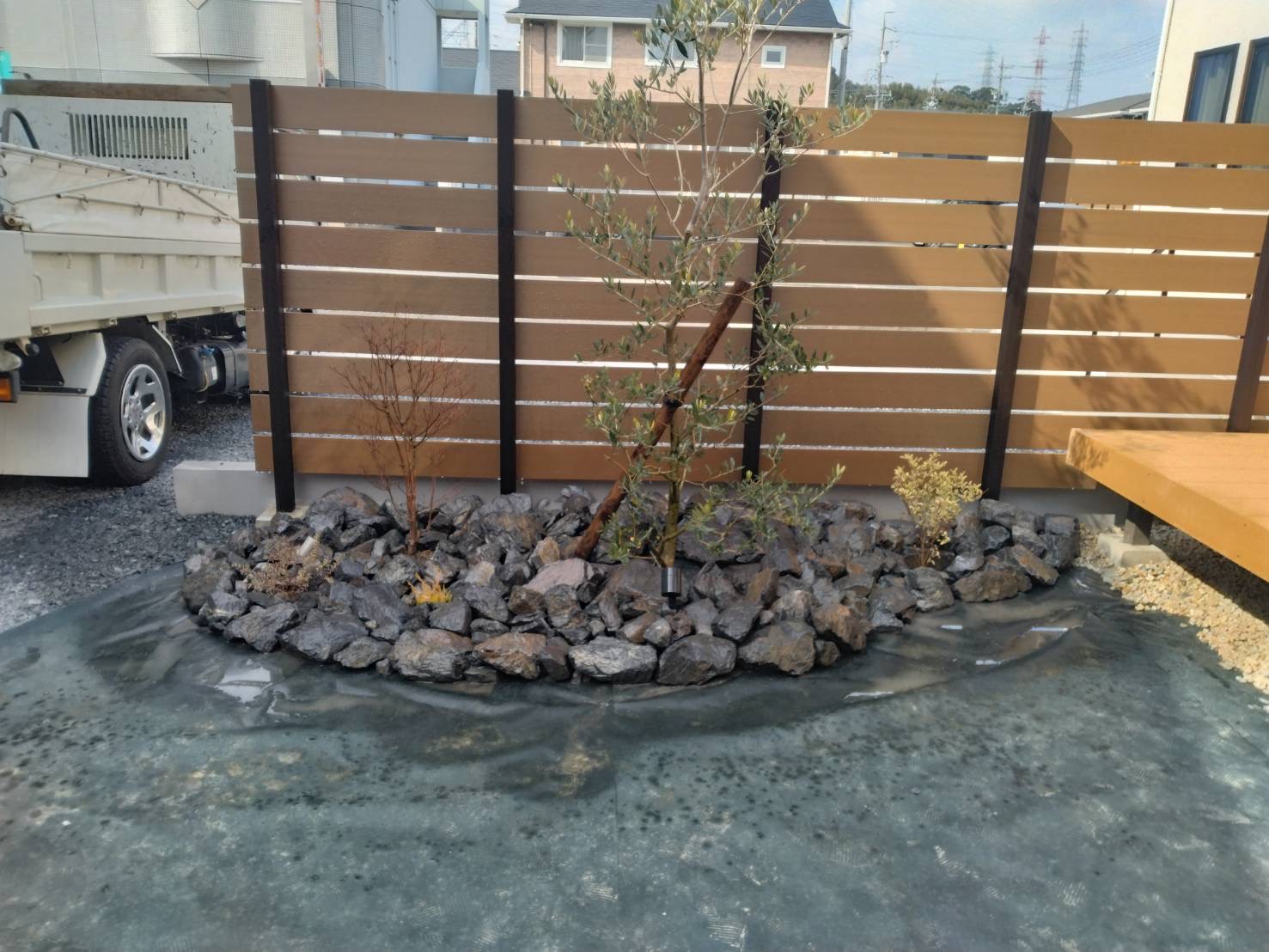 既存のオリーブを活かした植栽リニューアル